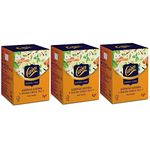 Care Ashwagandha Spiced Herbal Green Tea |30 Tea Bags (3 Packs X 10 tea bags each)| Desi Kahwa| Detox tea|Ayurvedic kadha|Natural Ingredients Made with 100 Whole Leaf Herbs Certificated