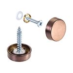 uxcell Mirror Screws, 16mm/0.63", 10pcs Decorative Cap Fasteners Cover Nails, Wire Drawing, Rose Gold 304 Stainless Steel