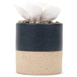 Demdaco Succlulent Diffuser - Navy, height 13cm