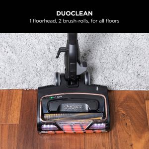 Shark Corded Stick Vacuum Cleaner – Rose Gold