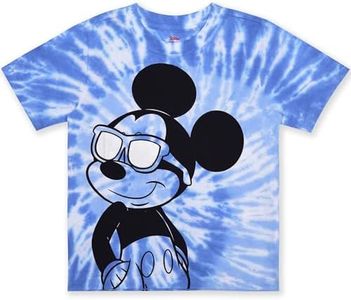 Disney Mic