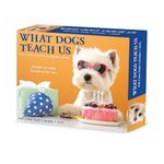 What Dogs Teach Us 2025 6.2" x 5.4" Box Calendar