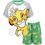 Disney Lion King Simba Toddler Boys Graphic T-Shirt French Terry Shorts Set Green/White 3T