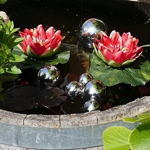 Mini Pond 