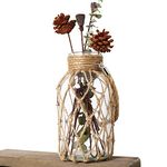 Funsoba Rustic Hanging Mason Jar Creative Rope Net Dry Flower Glass Vase with Handle (1 Vase 8")