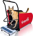 Dog Treadmills For Exercise