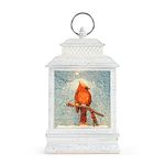 DEMDACO Dean Crouser LED Cardinal White and Red 10 x 6.5 Inch Illuminated Christmas Glitter Globe Lantern