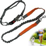 Zenify Hands Free Dog Lead for Runn