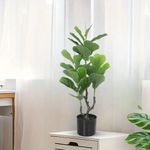 Home Bloom Artificial Fiddle Leaf Fig Plant | 90 cm Tall | with Basic Black Pot | Big Ornamental Plant for Interior Decor/Home Decor/Office Decor | Indoor Plant | Durable