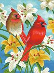 OWN4B Cross Stitch Kits Stamped, Birds and Flowers Printed Pattern 11CT 14.2x18.1 inch DIY Embroidery Kit (Birds)