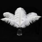 12pcs Natural White Ostrich Feather