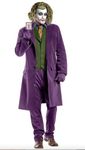 Charades CH03860_AS_M Dc Comics The Joker Adult Sized Costumes, Purple, Medium