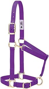 Weaver Leather Basic Adjustable Nylon Halter, Purple, 1" Average Horse