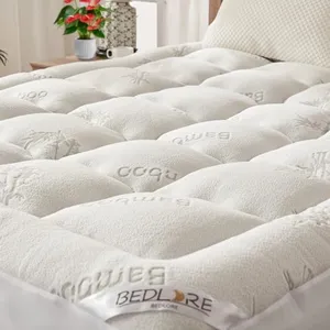 BEDLORE Qu