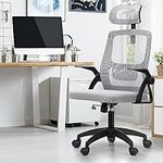 Oikiture Ergonomic Office Chair, Hi