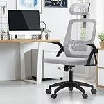 Oikiture Ergonomic Office Chair, Hi