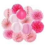 Rose Hot-Pink Party Decorations Str