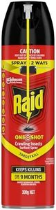 Raid One S