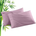 Pillowcases Queen Size 2 Pack, Viscose Cooling Pillow Cases with Envelope Closure, Cool & Breathable Pillow Cover for Hot Sleepers and Night Sweats, 20" x 30"