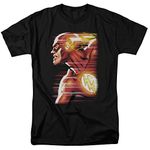 DC Comics Men's The Flash Distressed Logo T-Shirt, Black, XL