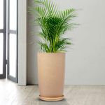 Kuber Industries Flower Pot with Plate | 18 Inch | Lightweight Polymers Indoor-Outdoor Pots | Flower Pot Gamla for Home-Office & Garden | Planter for Living Room | Beige