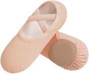 DANSHOW Ballet Shoes for Women Girls Dance Highly Stretch Cotton Shoes Slipper Split Flats Sole(1B-02-34) Pink