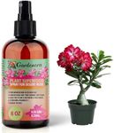 𝐁𝐄𝐒𝐓𝐒𝐄𝐋𝐋𝐄𝐑 Plant Superfood for Desert Rose Plants with B1 Vitamin, Glucose and Essential Minerals - Organic Plant Food Fertilizer for Indoor & Outdoor Desert Roses Care - 8oz