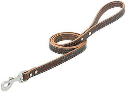 Terrain D.O.G. Bridle Leather Dog Leash