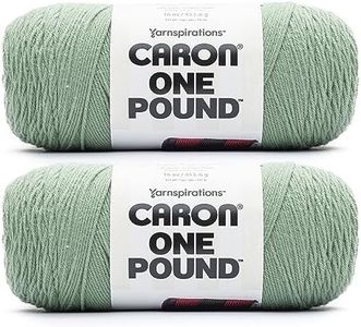 Caron One Pound Succulent Yarn - 2 Pack of 16oz/453.6g - Acrylic - #4 Worsted (Medium) - 812 Yards - Knitting & Crochet