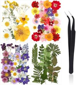 Nuanchu Pressed Flowers Bulk Dried Flower for Craft Resin Mold Bookmark Scrapbooking Nail Cake Fall White Orange Natural Pressed Dried Flower with Tweezer DIY