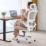 TRALT Office Chair Ergonomic Desk C