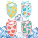SCENEREAL Dog Cooling Bandana for H