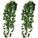 Tdas Artificial Plants with Pot Leaves Hanging Ivy Garlands Plant Greenery Vine Creeper Home Decor Door Wall Balcony Decoration Party Festival Craft (2 Pcs Money Plants) Plastic