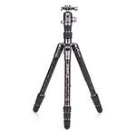 Benro Bat Carbon Fiber Two Series Travel Tripod/Monopod with VX25 Ballhead, 4 Leg Sections, Twist Leg Locks, Padded Carrying Case (FBAT24CVX25)