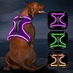 Light Up Dog Harness No Pull LED Do