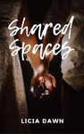 Shared Spaces: A Spicy Rom-Com (Roomies Book 2)