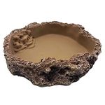 Mascot Pets Small 11cm Reptile Dish Feed Feeding Water Bowl Vivarium Tank Feeder Snake Tortoise Lizard