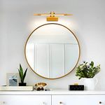 TYhogar LED Bathroom Mirror Light 42cm, Dimmable Wall Lighting 6W Picture Lights Brass Mirror Vanity Sconce with Swivel Cabinet Lamp IP44 Makeup Lights Reading Lamps