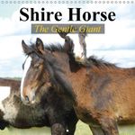 Shire Horse - The gentle giant 2016: The world's greatest horses (Calvendo Animals)