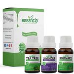 Pack of 3 Tea Tree Oil, Lavender Oil, Rosemary Oil Essential Oil Combo Pack for Skin, Hair, Face Care & Aromatherapy Therapeutic Grade (15ml x 3) (Tea Tree - Lavender - Rosemary)