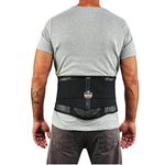 Ergodyne ProFlex 1051 Mesh Back Support, Medium, Black
