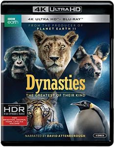 Dynasties 