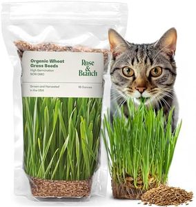 Organic Wheat Grass Seeds, Cat Grass Seeds - 16Ounces - 100% Organic Non-GMO - Hard Red Wheat, Harvested in The US. Easy to Grow Green
