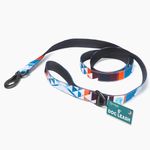Embark Adventure Dog Leashes - Colorful, Strong, and Sturdy Dog Leash for Small, Medium, and Large Breed Dogs (Santa Monica, 5 Ft)