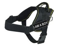 Dean & Tyler DT Fun Harness, I Am A Boy, Black with Yellow Trim, Medium - Fits Girth Size: 28-Inch to 34-Inch