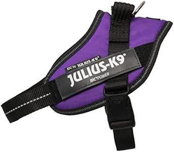 Julius-K9 