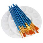 HTHL 14 PCS Set Paint Brushes,12 Pcs Artist Paint Brushes Set Include 2 Pcs 6.7 Inch Paint Palettes for Acrylic Painting Oil Painting Watercolor Painting Gouache Painting Face Painting (Blue)