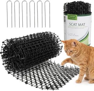 Tapix Cat