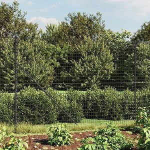 Festnight Maschendrahtzaun 140 cm Höhe Gartenzaun Maschendraht Drahtzaun Drahtgitter Metallzaun Draht Zaun Metall Hasendraht Kaninchendraht Drahtgeflecht Gitterzaun 1,4x25 m