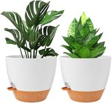 SpringUp Self Watering Pots, Plant 